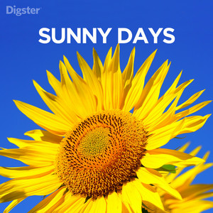 Summer Vibes - Musica dell'estate: caricati con la colonna sonora giusta per la tua estate e ascolta le ultime hit del momento.