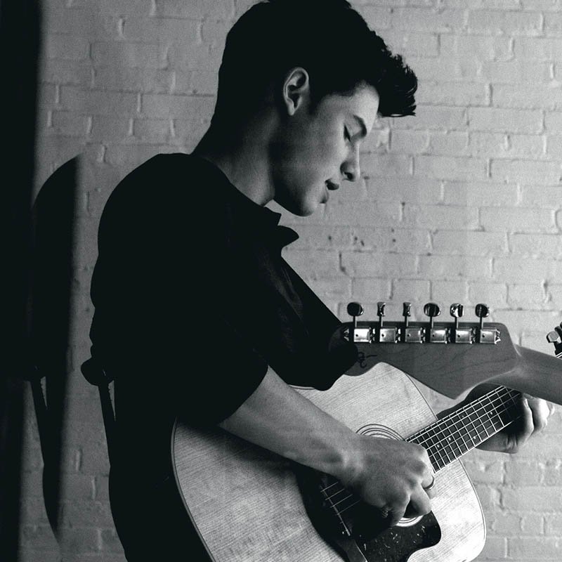 Shawn Mendes