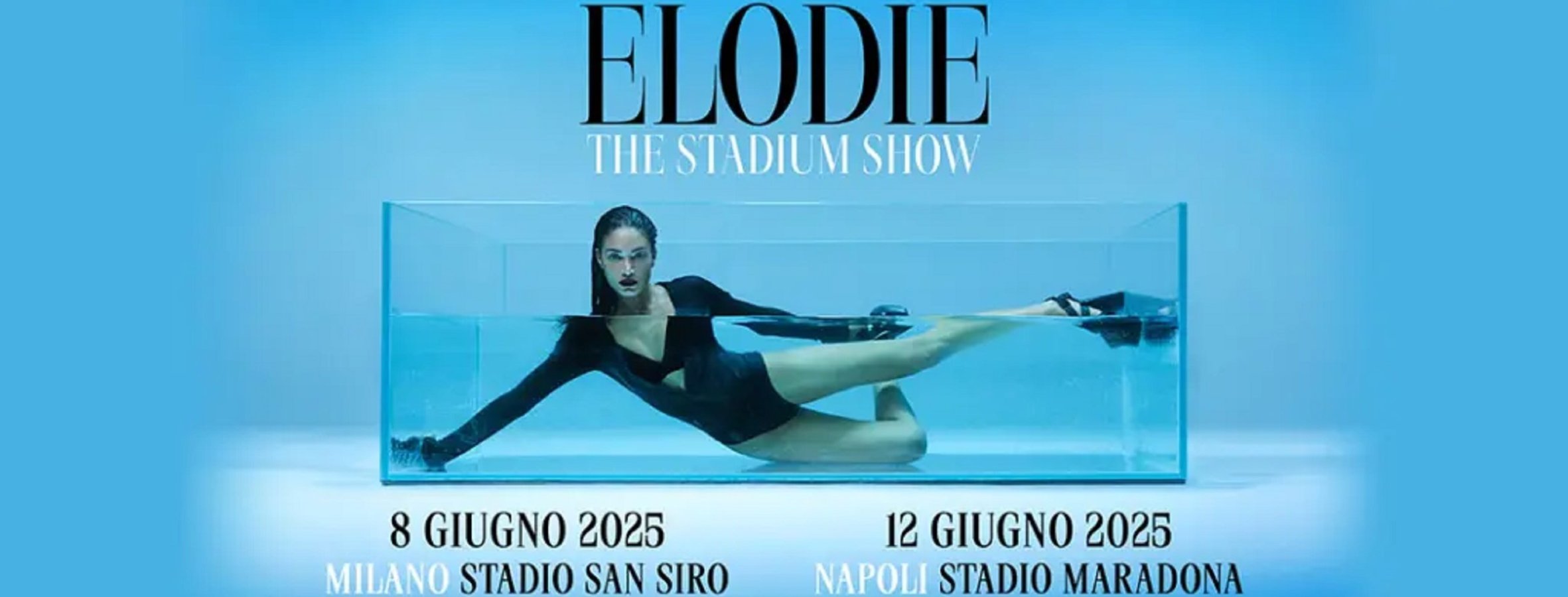 THE STADIUM SHOW